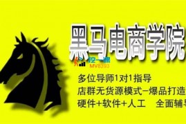 黑马电商学院《闲鱼系列课程》