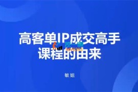 敏姐《高客单IP成交高手课程》