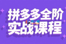 炮炮电商《拼多多全阶实战课程》