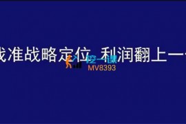 顾均辉《找准战略定位·利润翻上一倍》