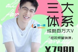 薛辉《2024三大体系成就百万大V3.0》