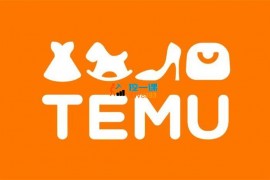 伍跃《Temu跨境开店运营实操课》