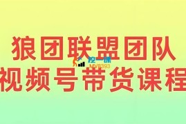 狼团联盟《2024视频号带货》