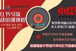 雨熙《小红书引流实战培训课程》