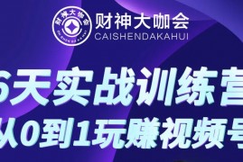 财神大咖会《视频号运营实操课程》