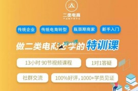 二类电商必学的特训课