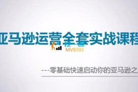 Mike《亚马逊运营全套实战课程》