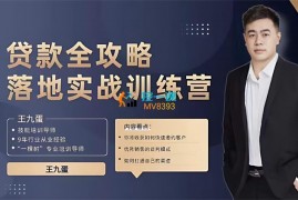 众筹：王九蛋·可复制业务员全流程