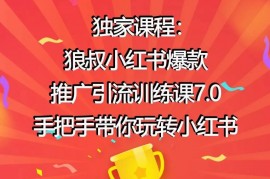 狼叔《小红书爆款推广引流训练课7.0》