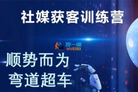 大卫《外贸社媒获客训练营》