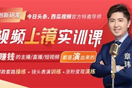 章玮《视频上镜实训课》