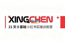 多美《21天0基础小红书实操训练营》