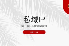 比高《私域IP流量变现课》