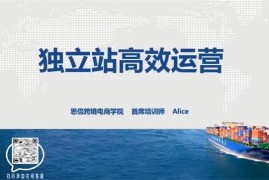 Alice《跨境电商独立站高效运行训练营》