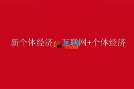 桃子学姐《互联网新个体创业课》