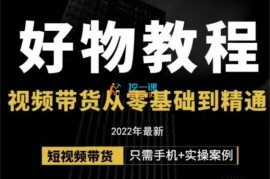 大嘴《好物短视频带货解析》