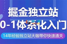 杜金《掘金独立站0-1体系化入门》