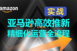 Lance《亚马逊高效推新精细化运营全流程》