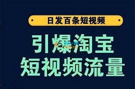 大王真《引爆淘宝短视频流量》