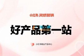 小陈总《小红书陪跑系列课程》