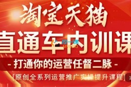 天问电商《零基础学起直通车运营实操》