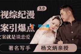 影视综纪漫《文案引爆点》