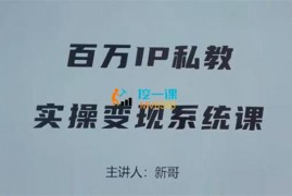 新哥《百万IP私教实操变现系统课》