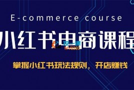 红校长《小红书电商课程》