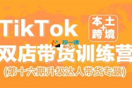 众筹：TikTok双店带货训练营