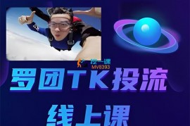 罗团《TikTok投投流线上课》