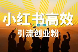 老窦《小红书如何高效引流创业粉》