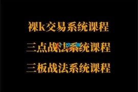 半山猎人《裸K、三点、三板三大交易系统课程》