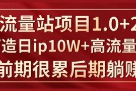 《大流量站项目1.0+2.0》打造日ip10W+高流量站，前期很累后期躺赚