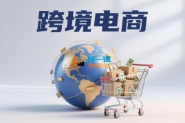 王老师《跨境电商训练理论课》