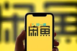 老A《闲鱼创业运营实战课》