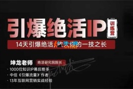 坤龙《引爆绝活IP训练营》