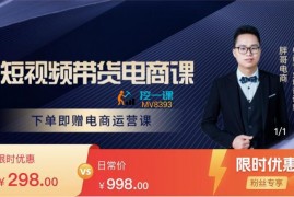 胖哥《短视频带货电商课》