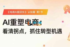 罗老师《淘宝AI实战增长全体系课程》