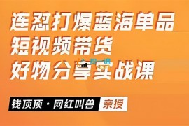 网红叫兽《连怼打爆蓝海单品》