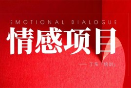 丁东《抖音短视频情感项目培训》