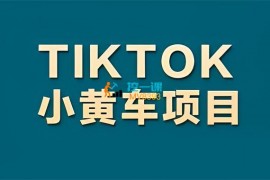 海帮跨境《TIKTOK小黄车项目》
