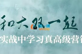 大双《养成系IP文案营销密训班》