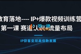 清阳《IP+爆款视频训练营课程》