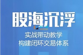 众筹：张琛实·股海沉浮