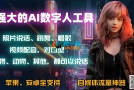 马老师《六款超强大AI软件课程》