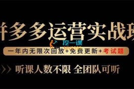 老陶《拼多多运营实战班》