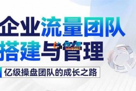 Becky《企业流量团队搭建与管理》