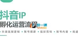陈家乐《抖音IP孵化运营》