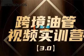 黑松与山《油管线上运营实操课》