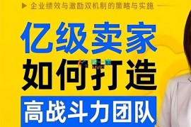 众筹：亿级卖家如何打造高战斗团队